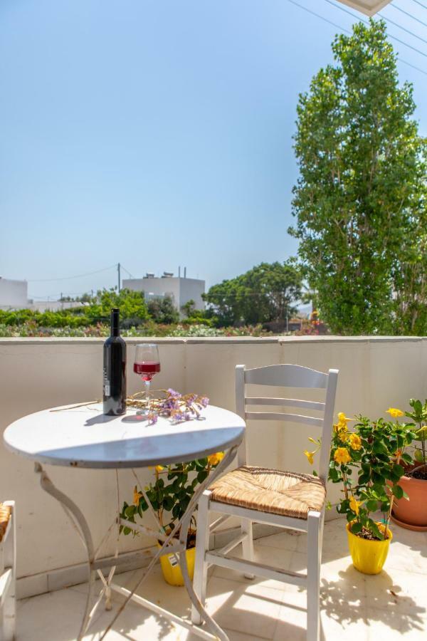 Apanemi Beachhouse Naxos City Kültér fotó